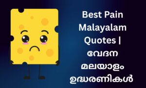 Read more about the article 610+ Best Pain Malayalam Quotes | വേദന മലയാളം ഉദ്ധരണികൾ